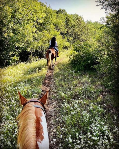 Touch of Chrome Trail Rides