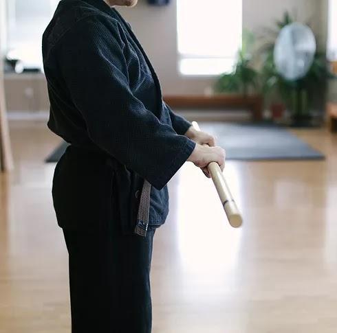 Ninvolution Traditional Japanese Martial Arts