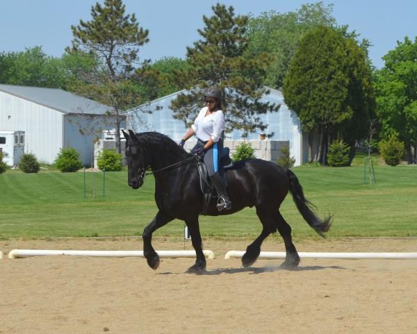 Serenity Farm LLC
