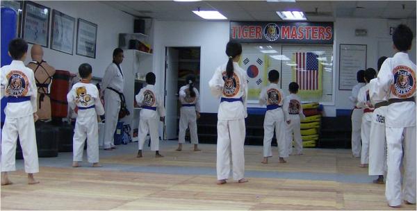 Tiger Masters Tae Kwon Do