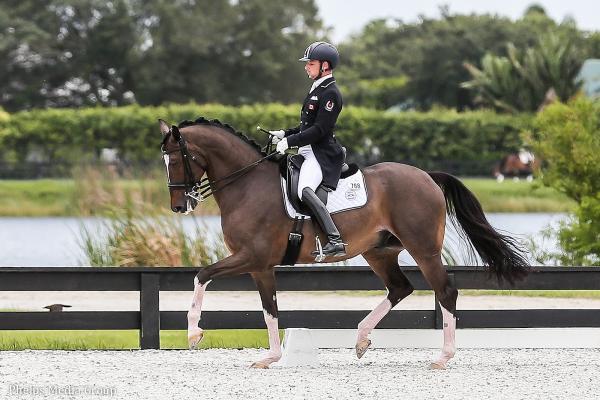 Marcus Fyffe Dressage