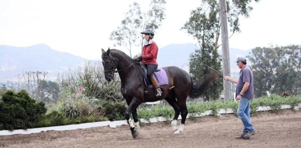 Barbi Breen-Gurley's Sea Horse Ranch