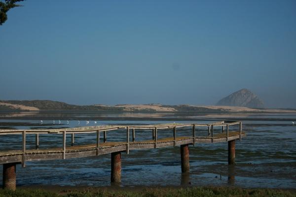 Barbi Breen-Gurley's Sea Horse Ranch