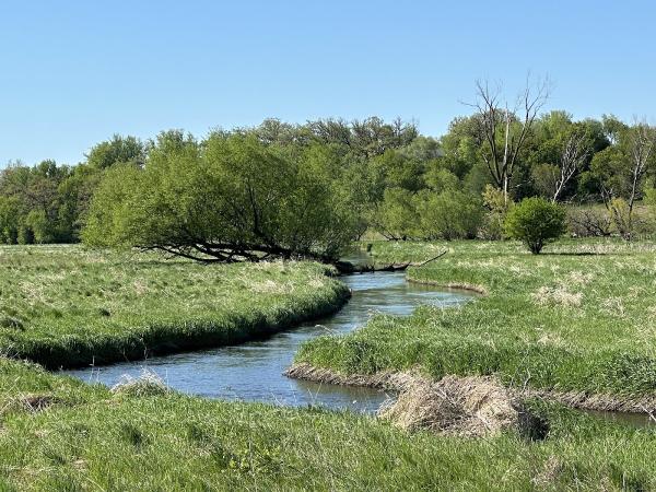 Indigo Trails Farm & Coaching