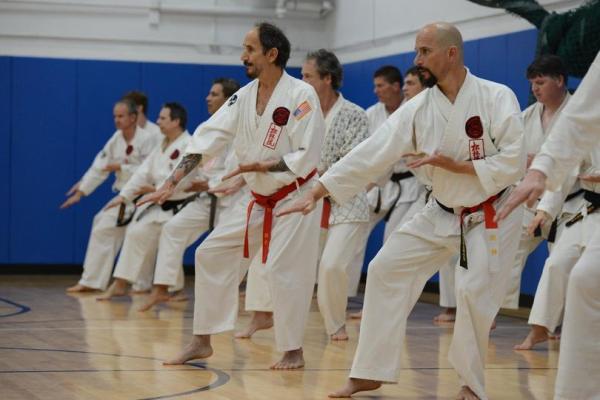 Viera Ueshiro Shorin-Ryu Karate Dojo