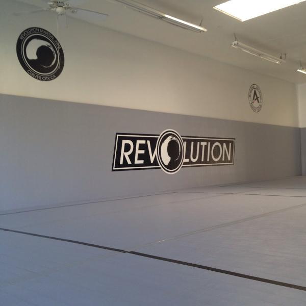 Revolution Martial Arts & Jiu Jitsu