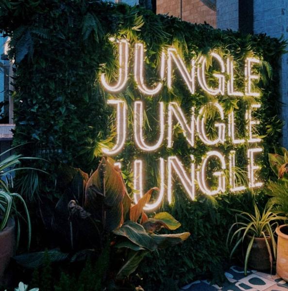 Jungle