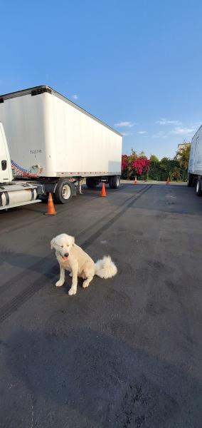 American Tech Trucking School