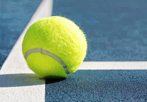 MI Tennis Lessons