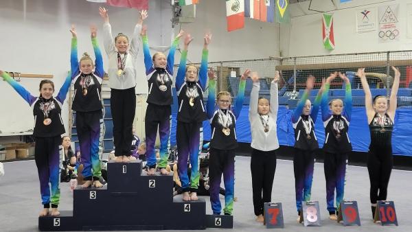 Pinnacles Gymnastics