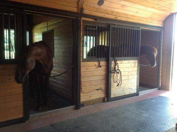 Horse Connection