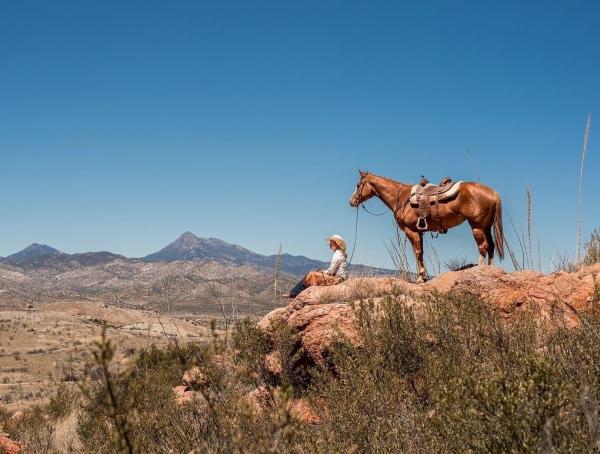 Double Staple Ranch