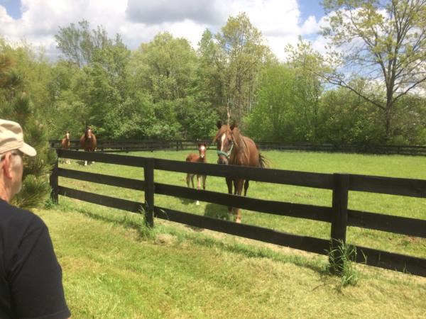 Rooker Training Stable Inc