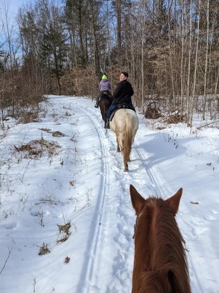 Buck Creek Ranch & Stables