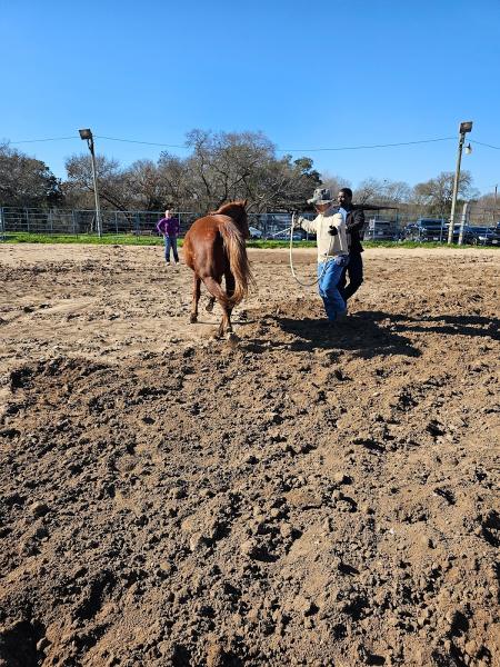 Robisons Ranch