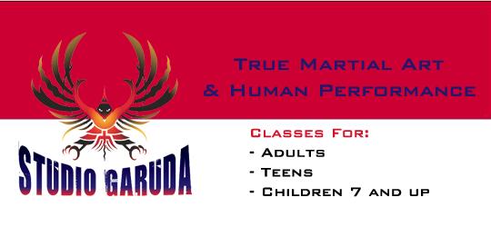 Studio Garuda Martial Arts & Human Performance