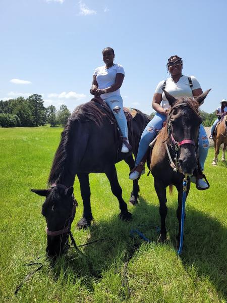 Majestic Journeys LLC