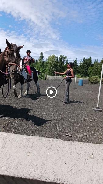 Legends Horse Training
