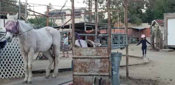 Stoney Point Ranch & Riding Center