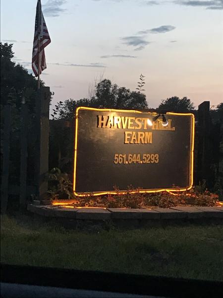 Harvest Hill Farms