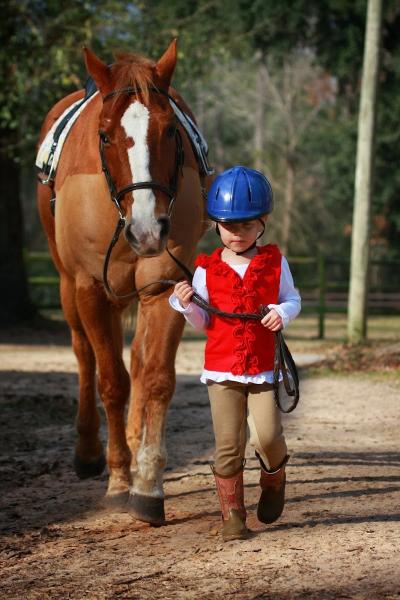 Rustic Trail Stable LLC