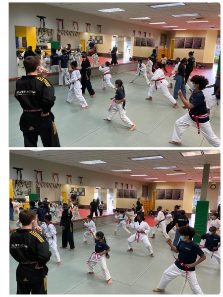 Elite Action Martial Arts & Before / After School