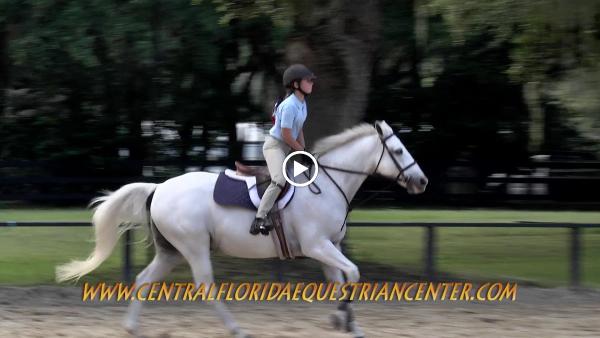 Central Florida Equestrian Center