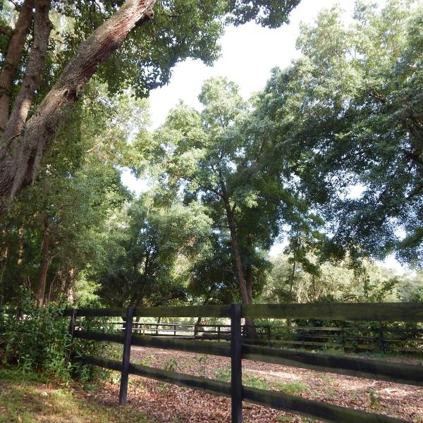 Central Florida Equestrian Center