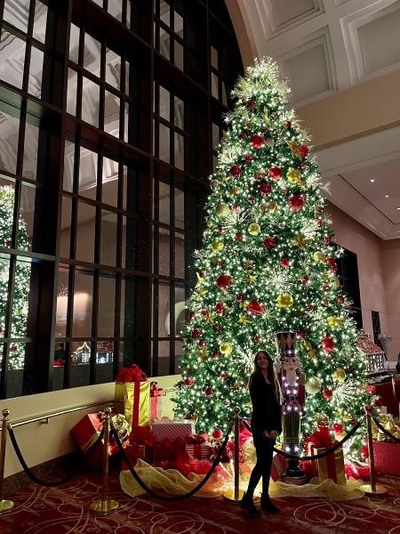 Wortham Theater Center