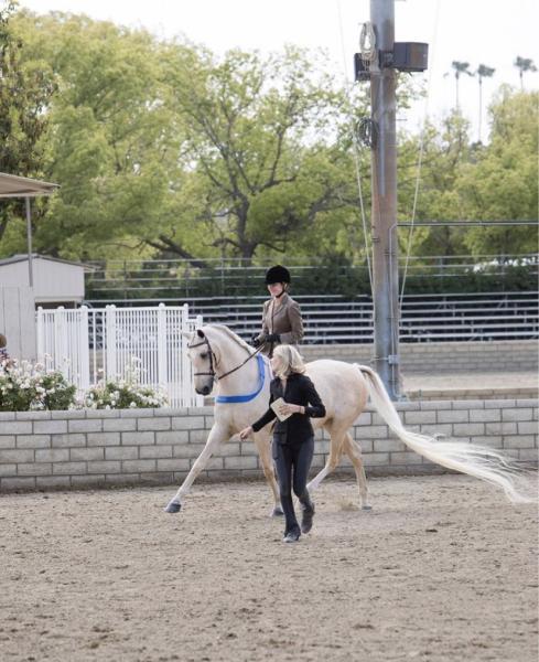 Golden Glen Stables