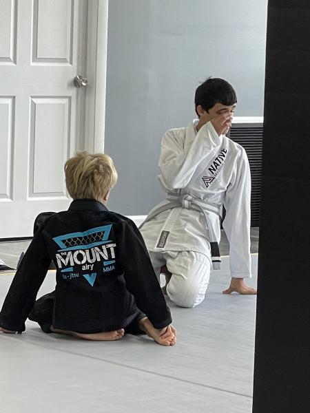 The Mount BJJ & MMA