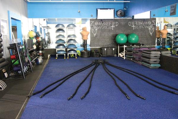 Fitness 360 Palm Harbor