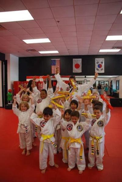 David Vincent's Martial Arts & Fitness