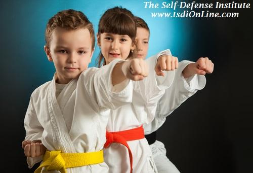 The Self Defense Institute