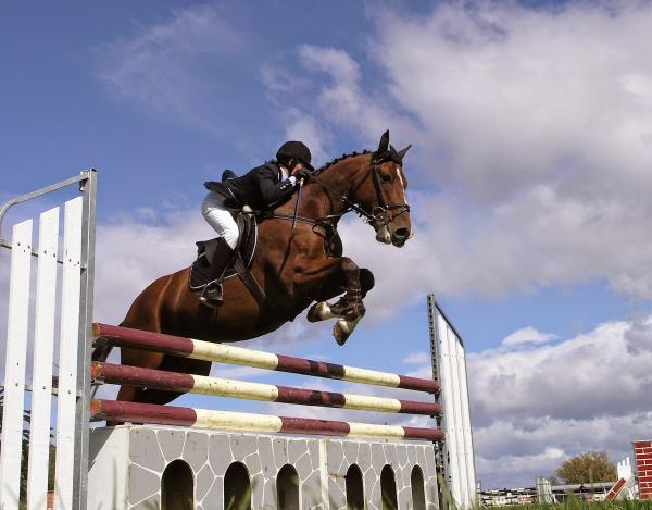 Iron Gate Farm