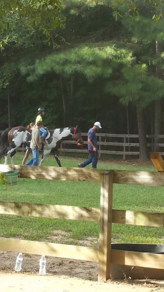 Helping Horse Therapeutic Programs