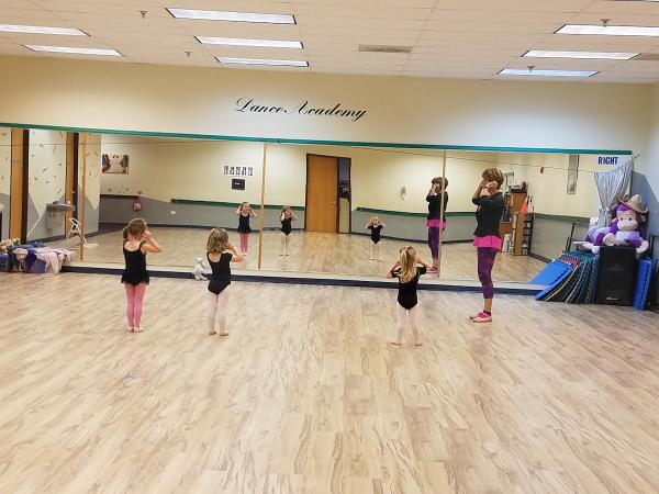 Dance Academy Inc