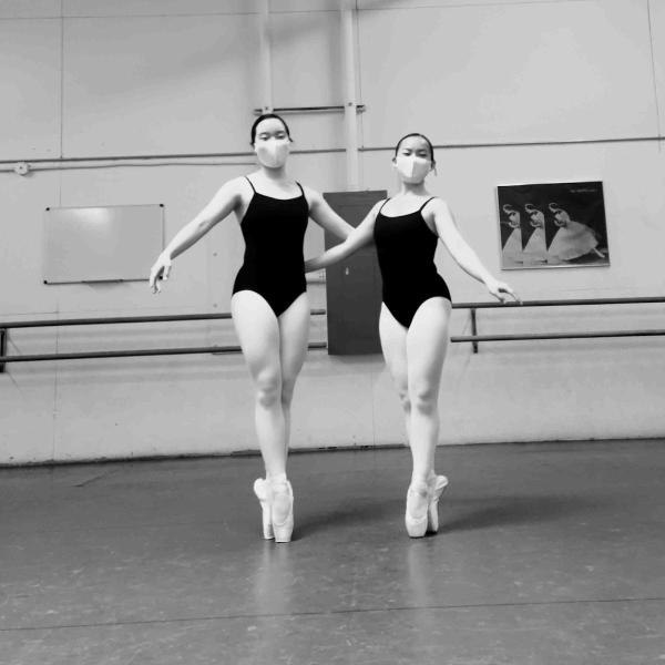 The Little Dance World