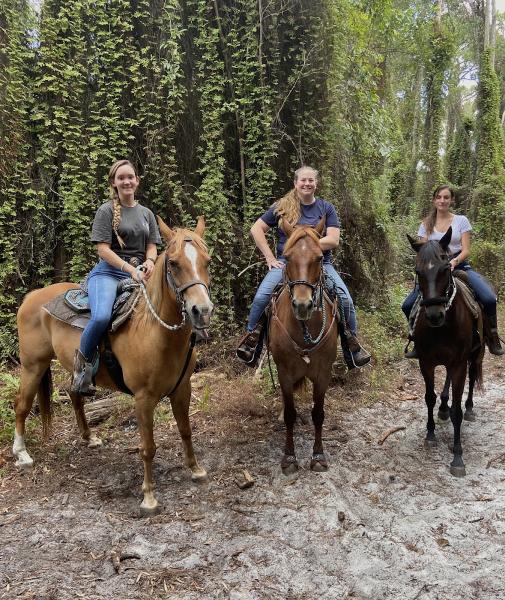 Just Horsin' Around Ranch