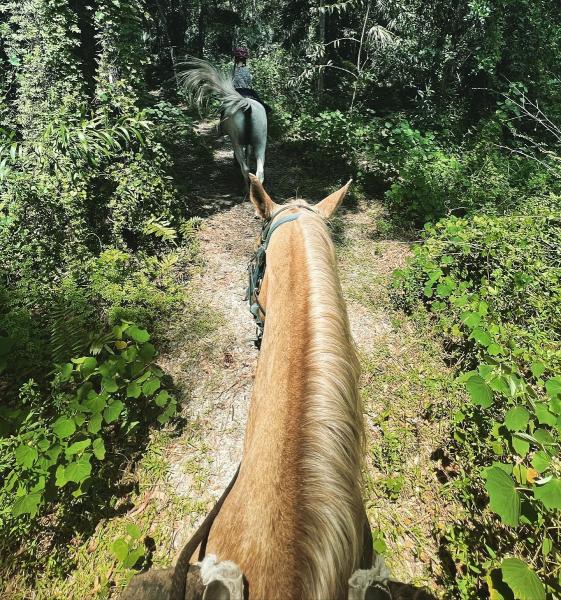 Just Horsin' Around Ranch