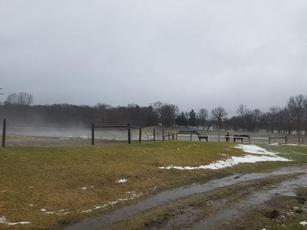 Pine Meadow Farm
