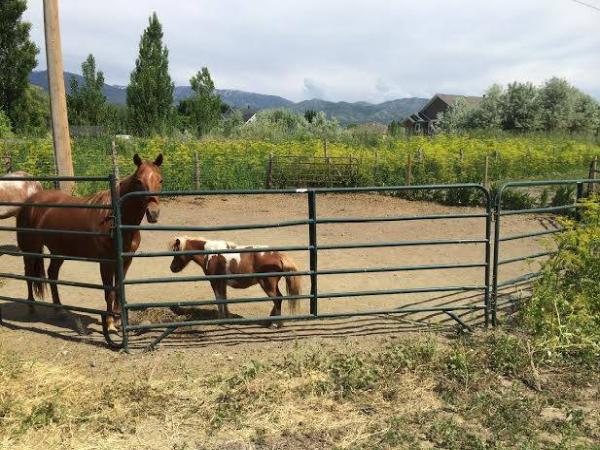 Double Diamond Hill Ranch