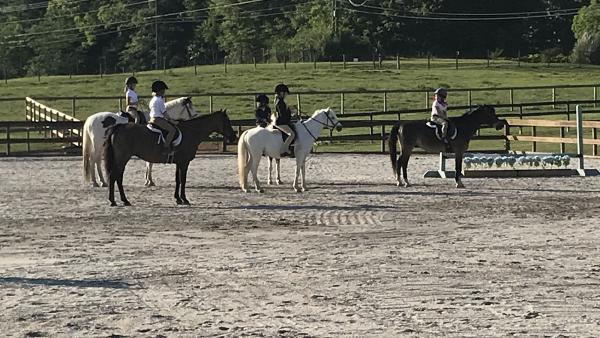 Horse Creek Farm