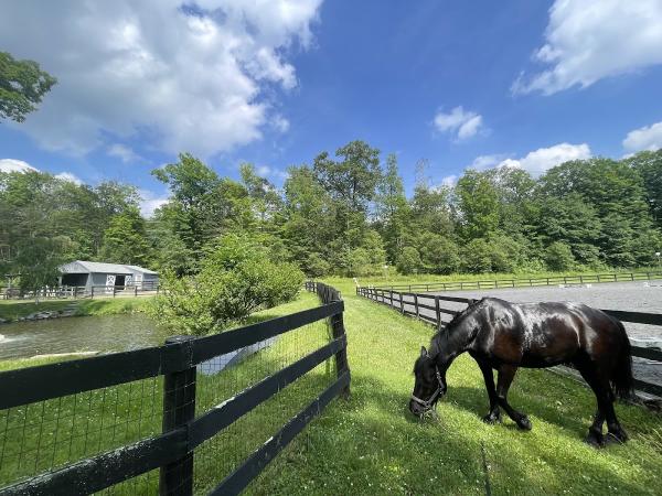 Termonn Stables