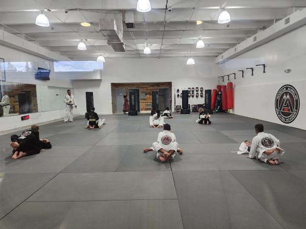 Marcus Aurelio Jiu Jitsu Academy