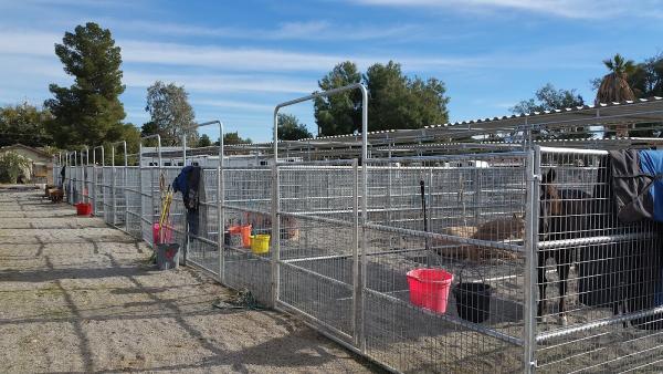 Las Vegas Horse Ranch at Haven