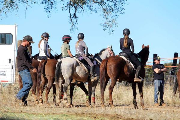 Crater Hill Equestrian