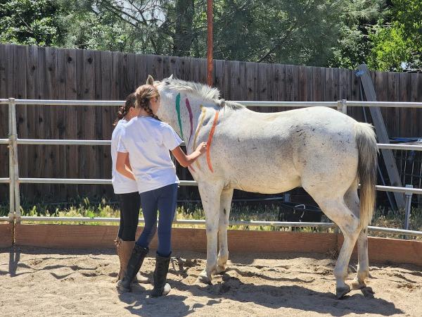 Crater Hill Equestrian