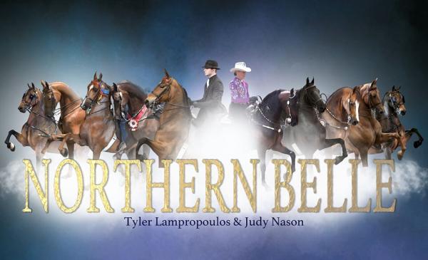 Northern Belle Stables
