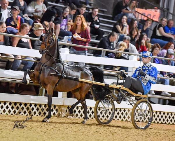 Northern Belle Stables